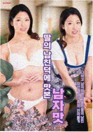 樱色流年 缩略图